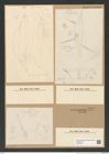 Odontotropis sp. (de-Toni-Nr.: Genus 124) Zeichnungen Sammlung Grunow Nr. 7003 (NHMW-BOT-W0375915)